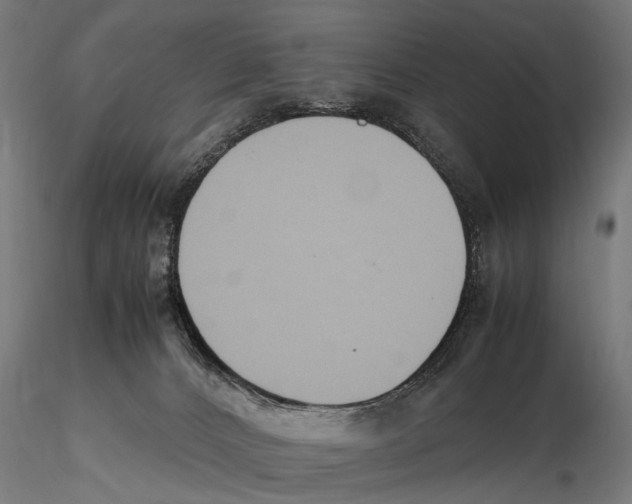 X0000115600032200912081124