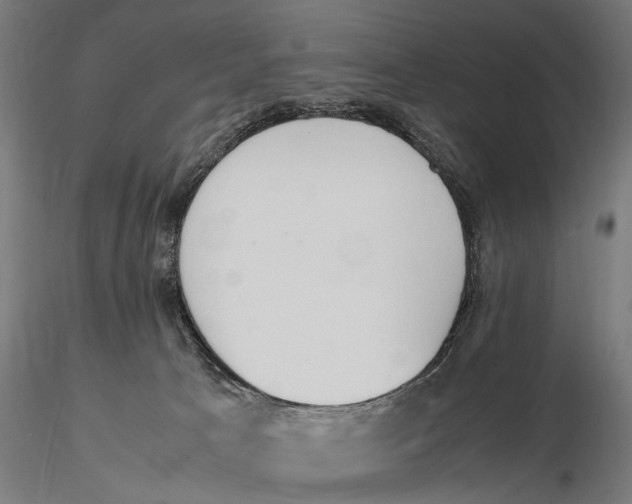 X0000115600033200912081124