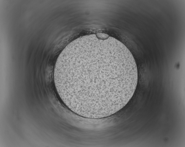 X0000115600034200912081124