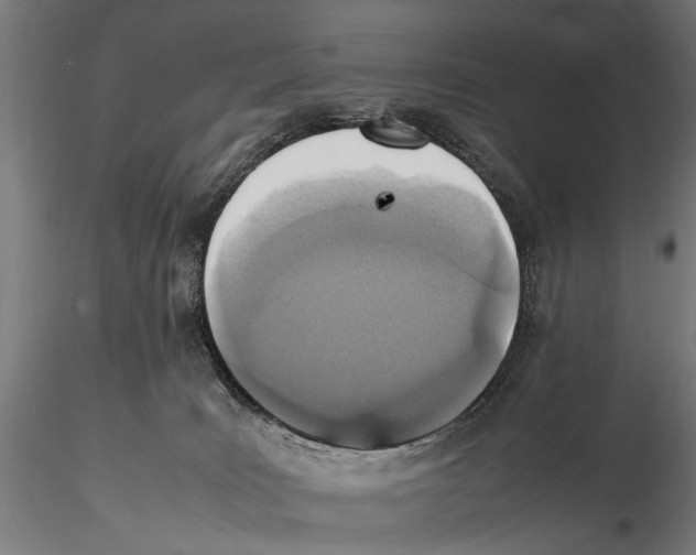 X0000115600035200912081124