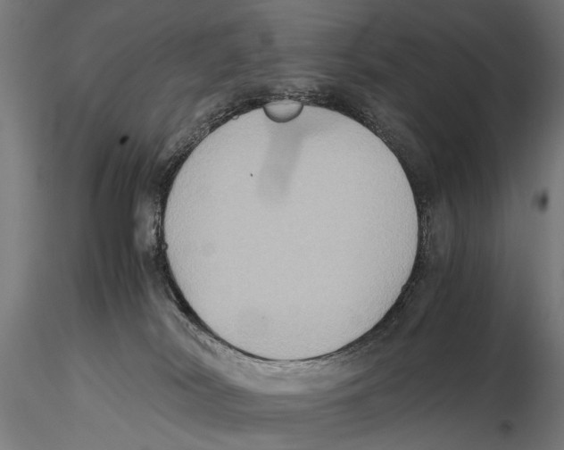 X0000115600038200912081124