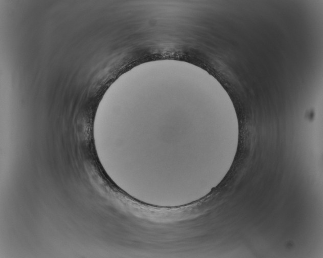 X0000115600039200912081124