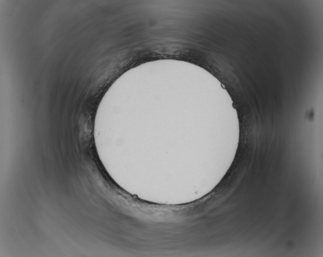 X0000115600040200912081124