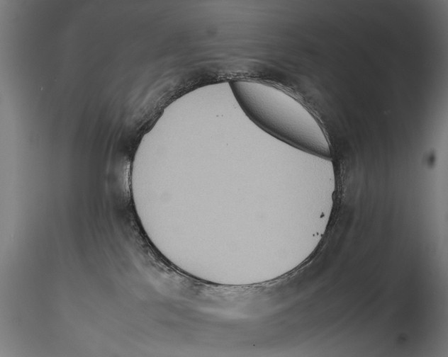 X0000115600041200912081124