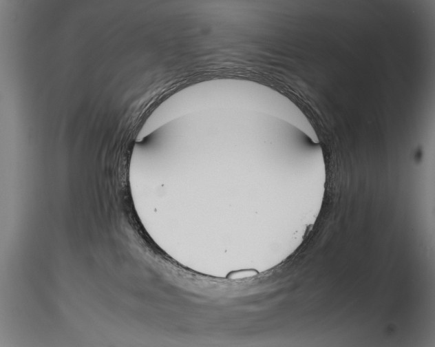 X0000115600043200912081124