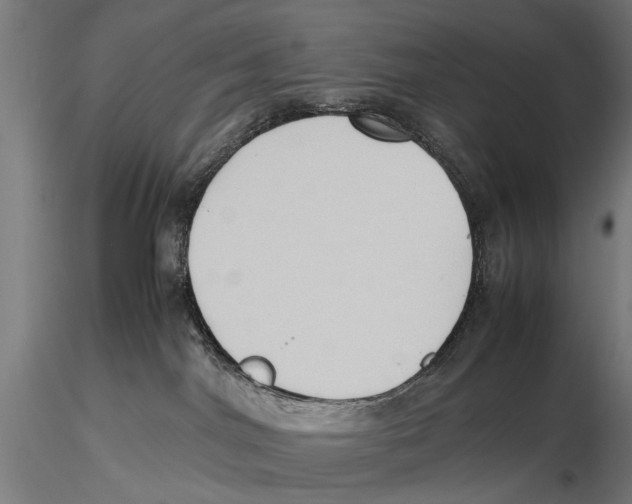 X0000115600044200912081124