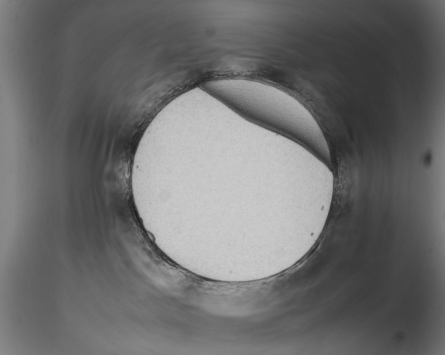 X0000115600045200912081124