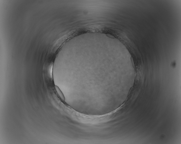 X0000115600047200912081124