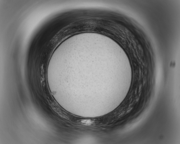 X0000115600050200912081123