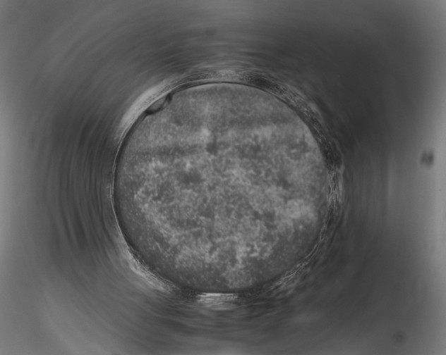 X0000115600051200912081123