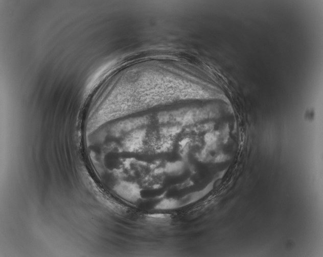 X0000115600053200912081123