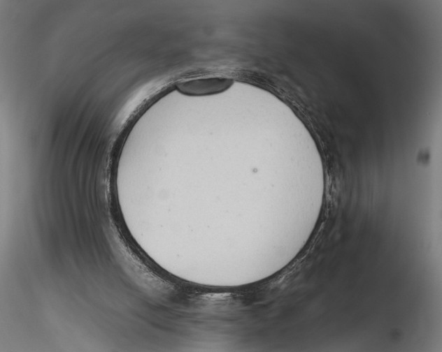 X0000115600054200912081123