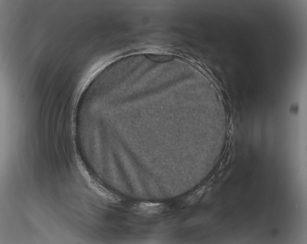 X0000115600055200912081123