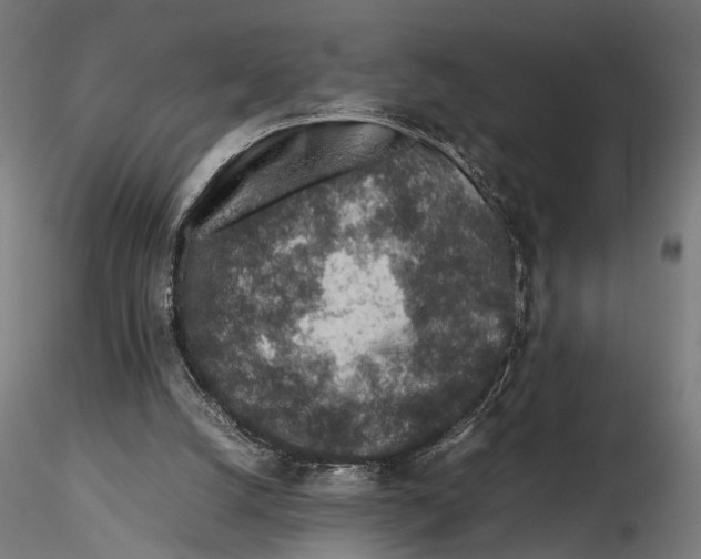 X0000115600056200912081123