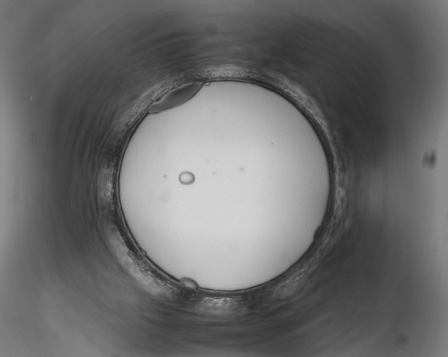 X0000115600057200912081123