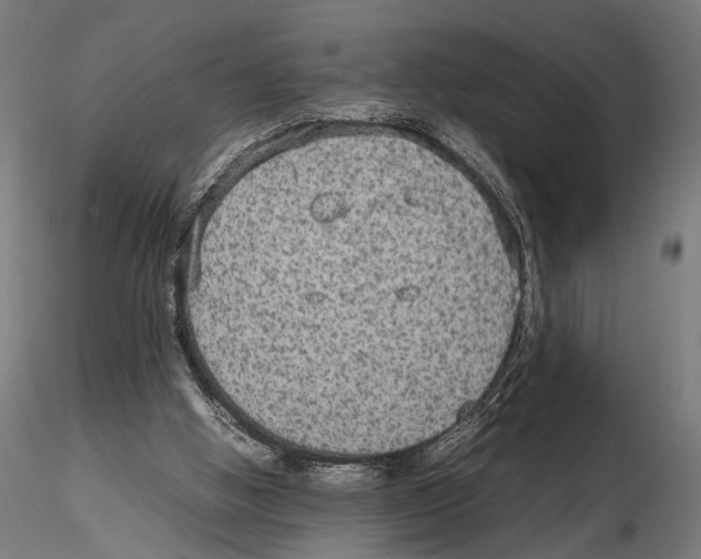 X0000115600058200912081123