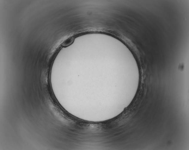 X0000115600060200912081123