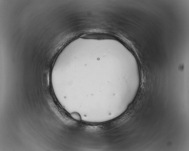 X0000115600061200912081123