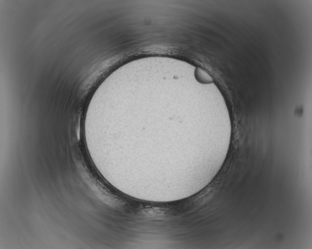 X0000115600062200912081123