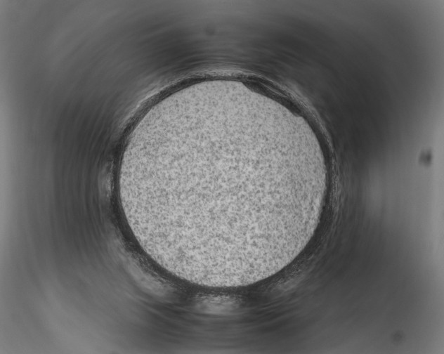 X0000115600063200912081123