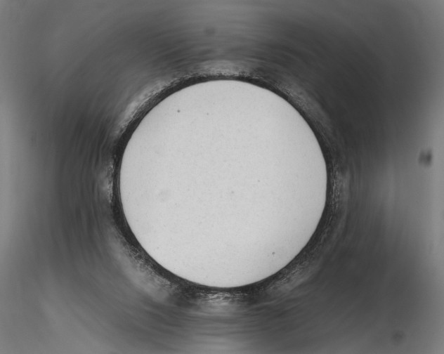 X0000115600064200912081123