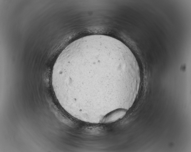 X0000115600065200912081123