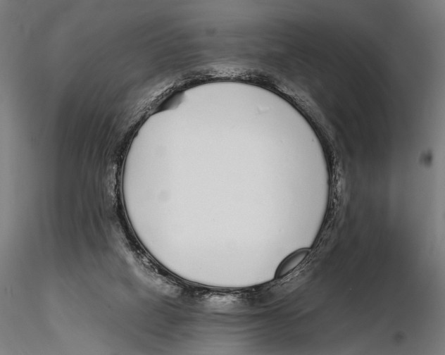 X0000115600066200912081123