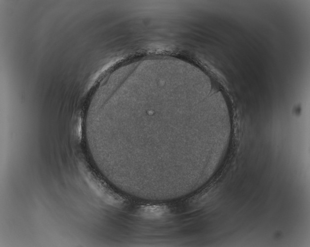 X0000115600067200912081123