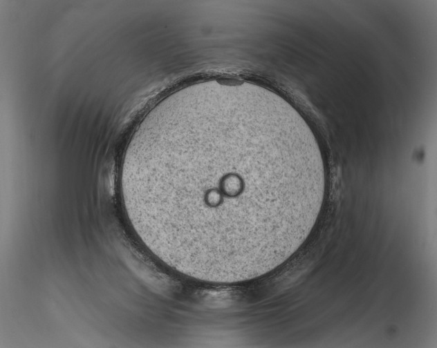 X0000115600068200912081123