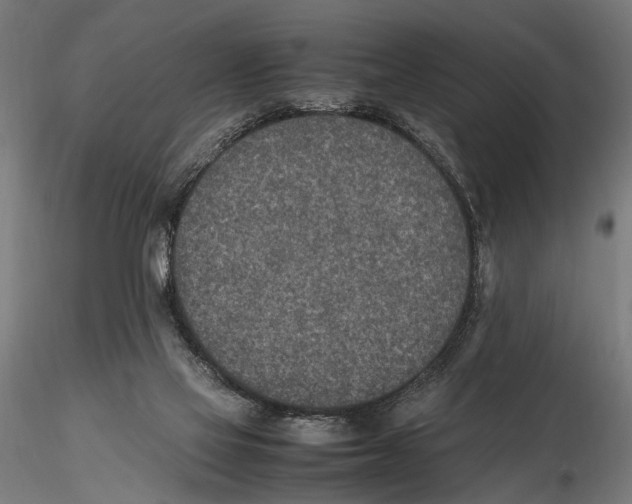 X0000115600069200912081123