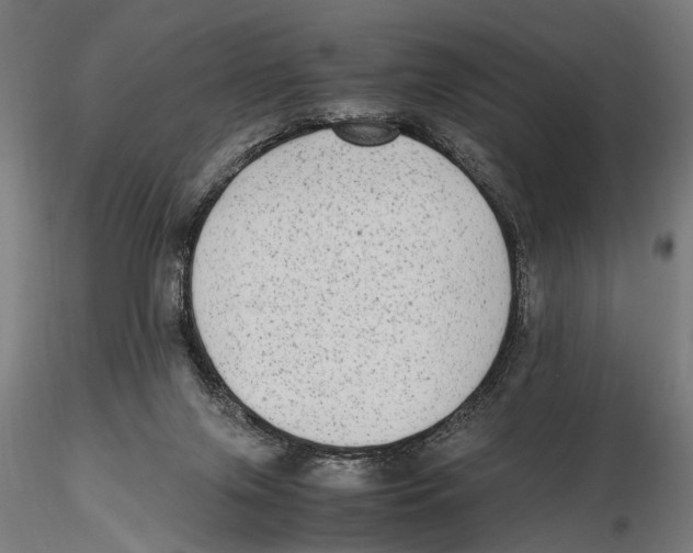 X0000115600071200912081123