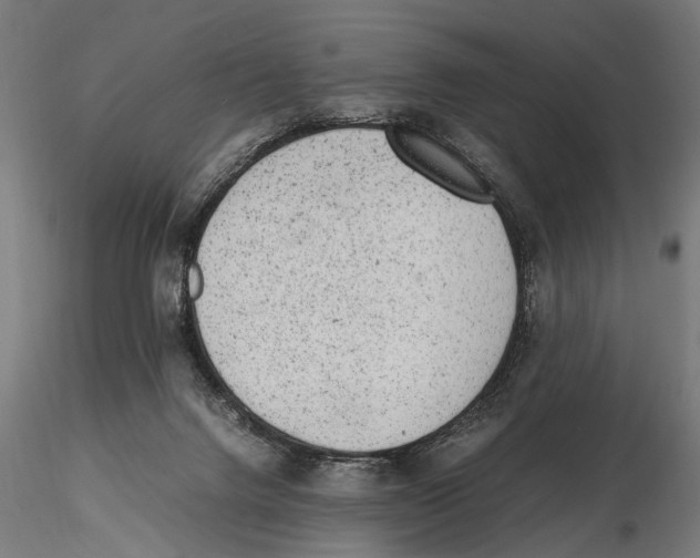 X0000115600072200912081123