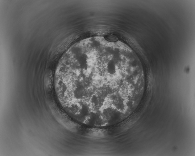 X0000115600073200912081123