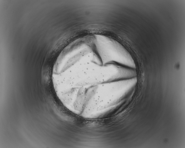 X0000115600074200912081123