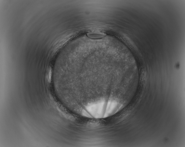 X0000115600076200912081123