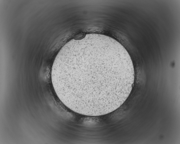 X0000115600077200912081123