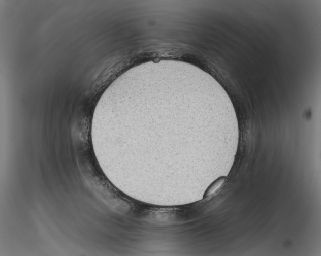 X0000115600078200912081123