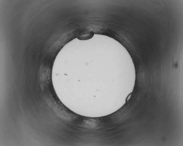 X0000115600079200912081123