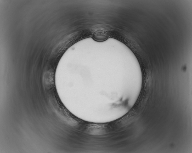 X0000115600081200912081123