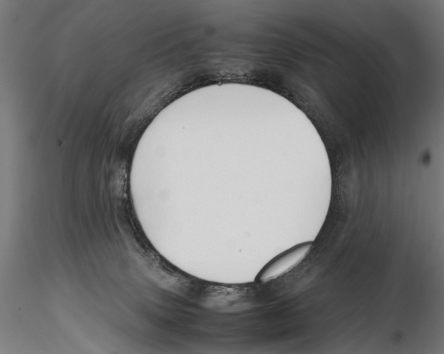 X0000115600083200912081123