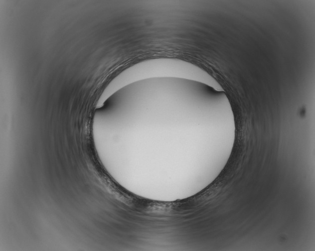 X0000115600084200912081123