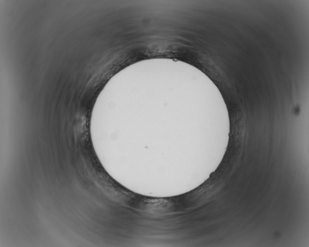 X0000115600087200912081123