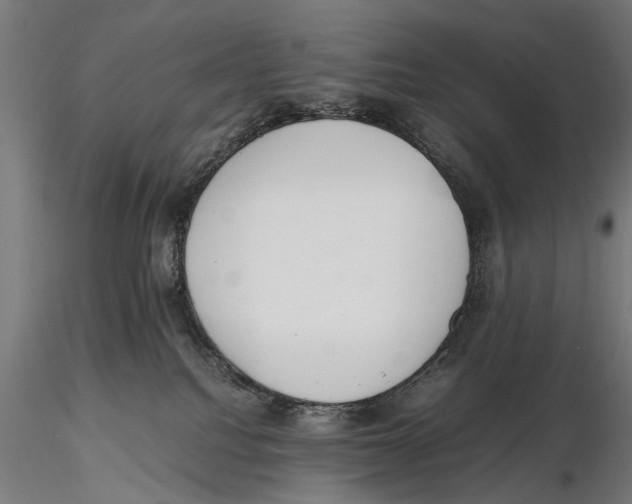 X0000115600088200912081123