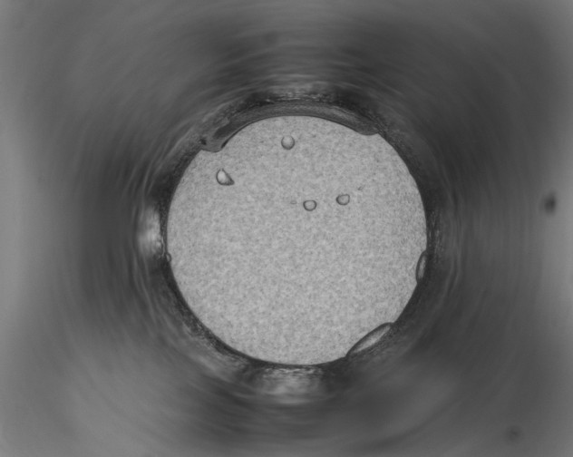 X0000115600089200912081123