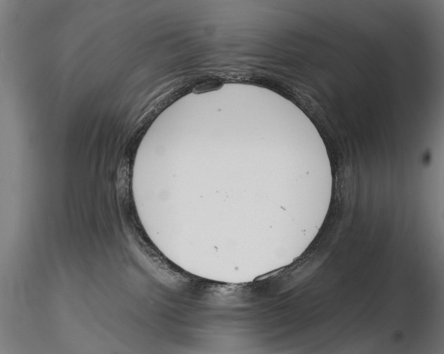 X0000115600092200912081124