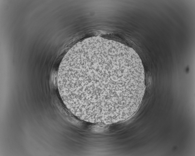 X0000115600094200912081124