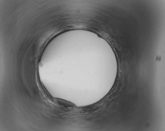 X0000115600097200912081123