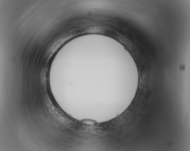 X0000115600098200912081123