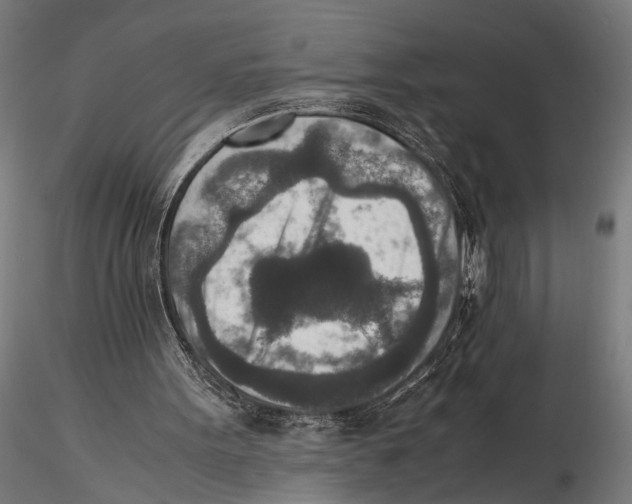 X0000115600099200912081123