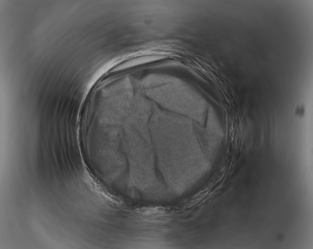 X0000115600100200912081123